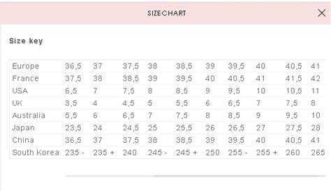 roger vivier size chart